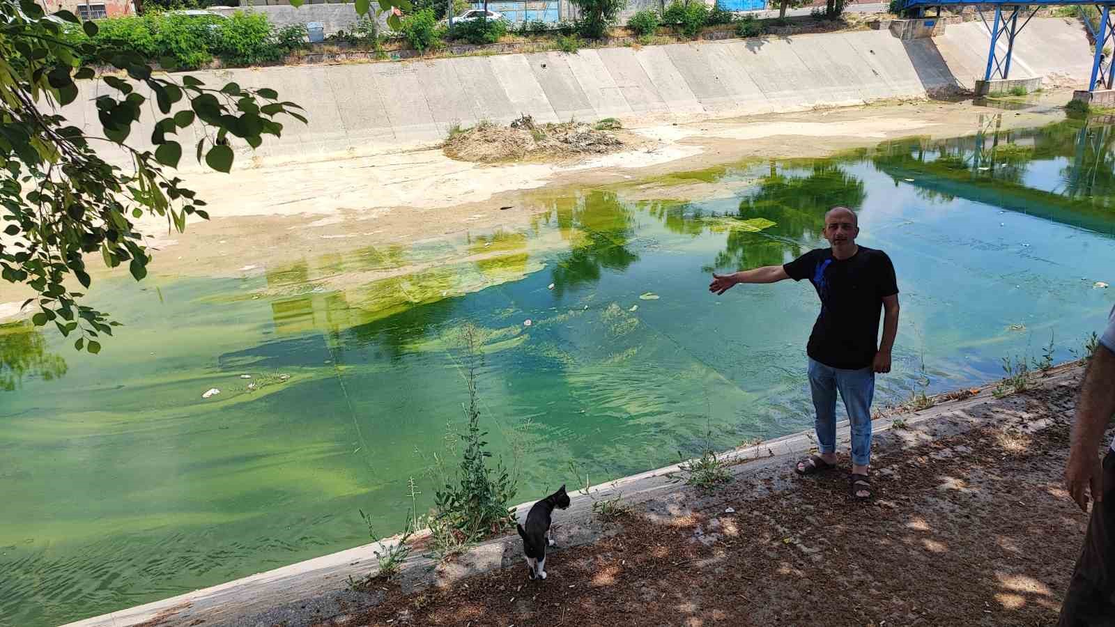 adanada sivrisinek istilasina vatandas tepkisi cocuklarimiz yara icinde kaldi 1 9ARaSTOL