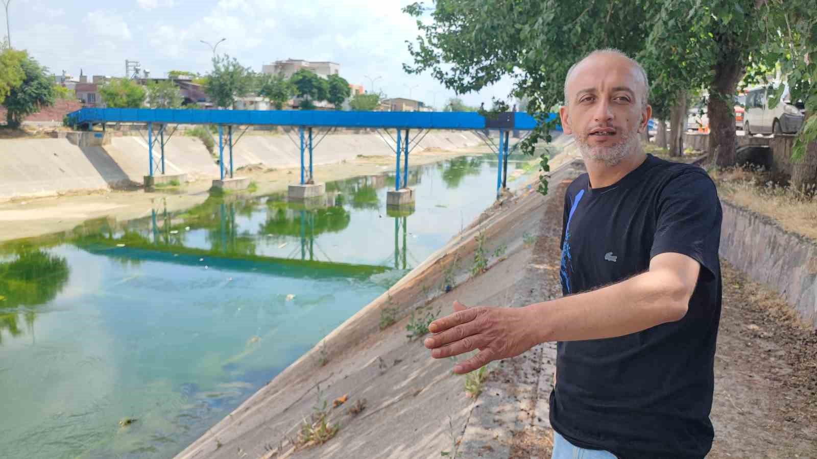 adanada sivrisinek istilasina vatandas tepkisi cocuklarimiz yara icinde kaldi 2 RLFuGzYm