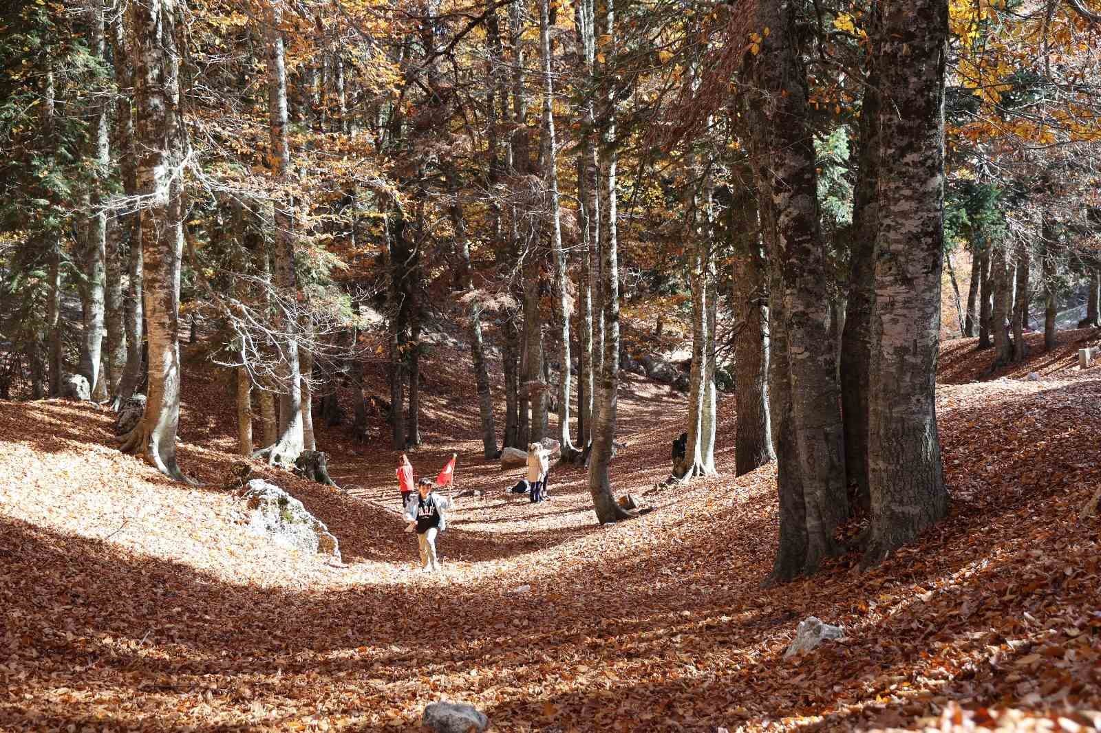 adanada sonbahar guzelligi adeta doga sanata donustu 10