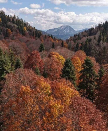 adanada-sonbahar-guzelligi-adeta-doga-sanata-donustu-N3udOacm.jpg