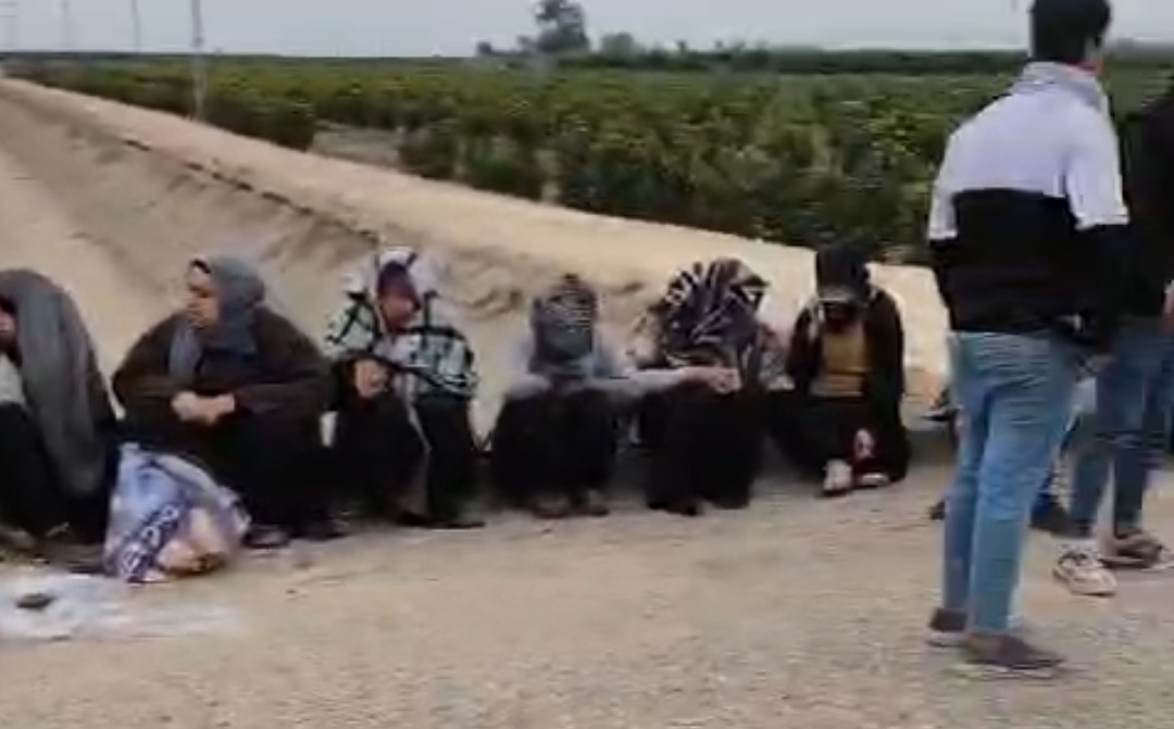 adanada trafik kazasi 1i agir 7 tarim iscisi yaralandi 0 UBOfnXUI
