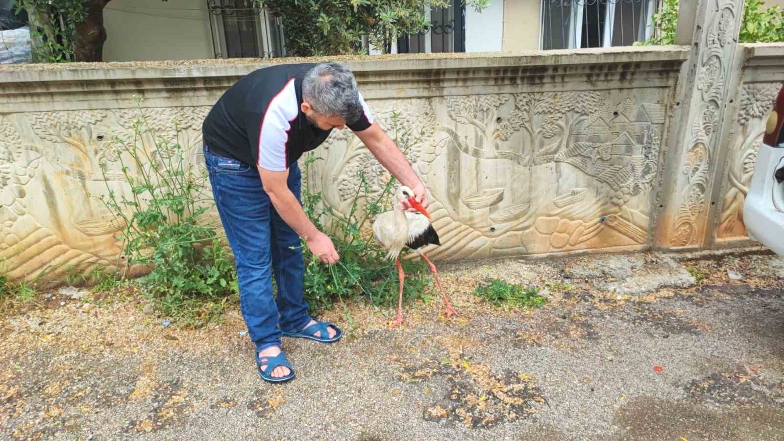 adanada yarali leylege vatandas sahip cikti 1 GKLzXISj