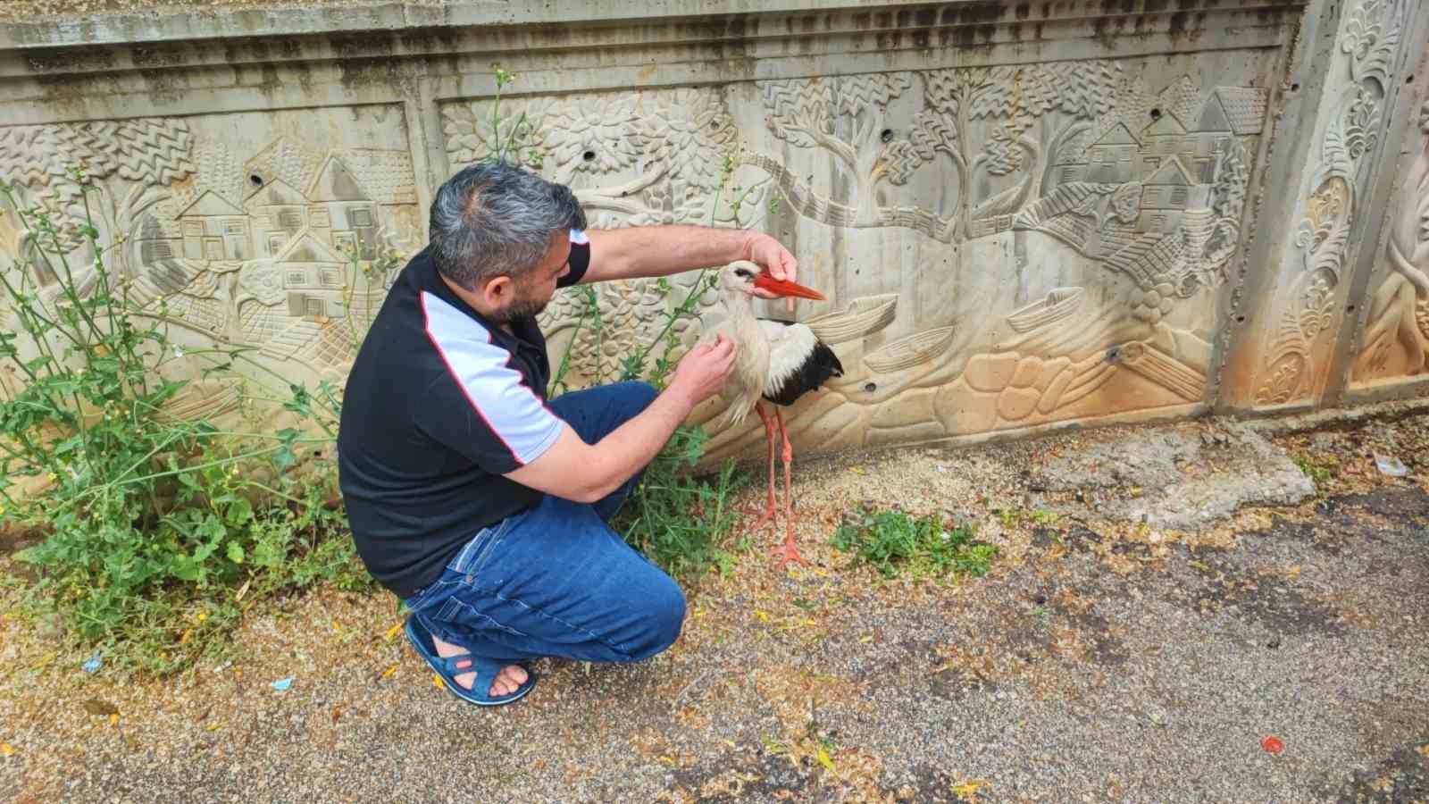 adanada yarali leylege vatandas sahip cikti 2 p58DjQ7Z
