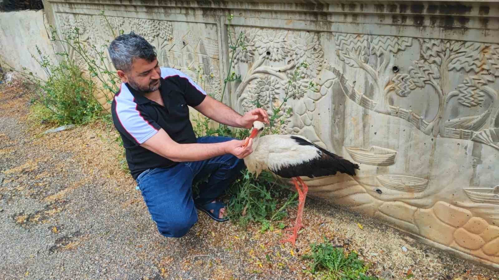 adanada yarali leylege vatandas sahip cikti 3 isRiZX4N