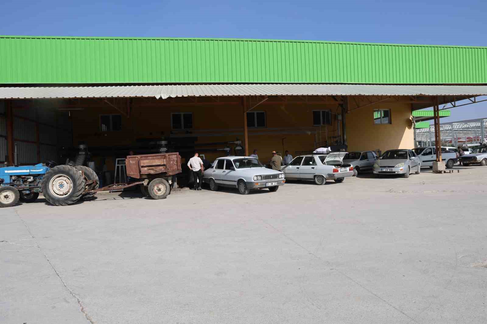 adanada zeytinin yag yolculugu basladi 3