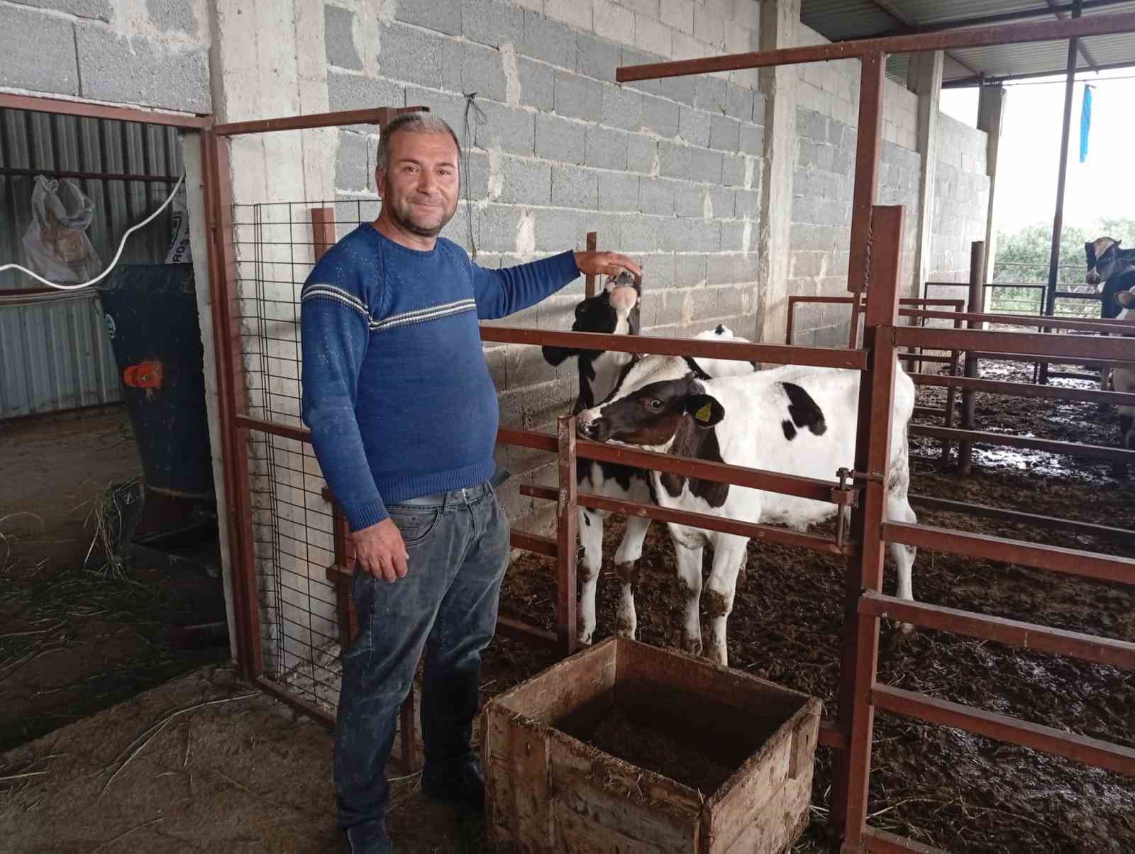 adanali ureticiden sut verimi icin ilginc yontem 3