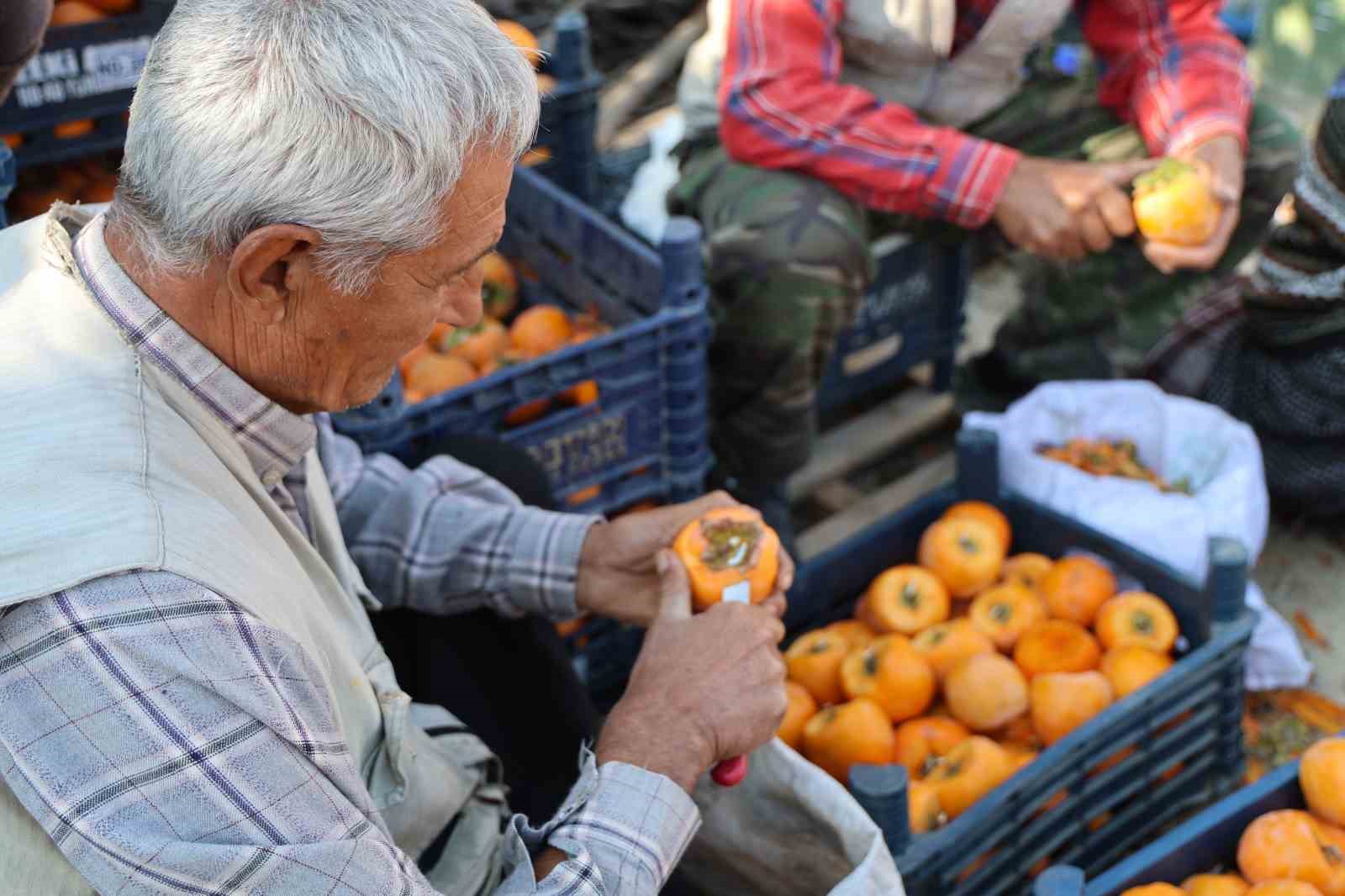 adananin hurmali koyu acik fabrikaya donustu 4 mUZbLc4p