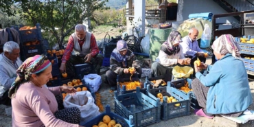 adananin-hurmali-koyu-acik-fabrikaya-donustu-RQgGmXOe.jpg