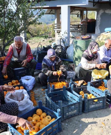 adananin-hurmali-koyu-acik-fabrikaya-donustu-RQgGmXOe.jpg