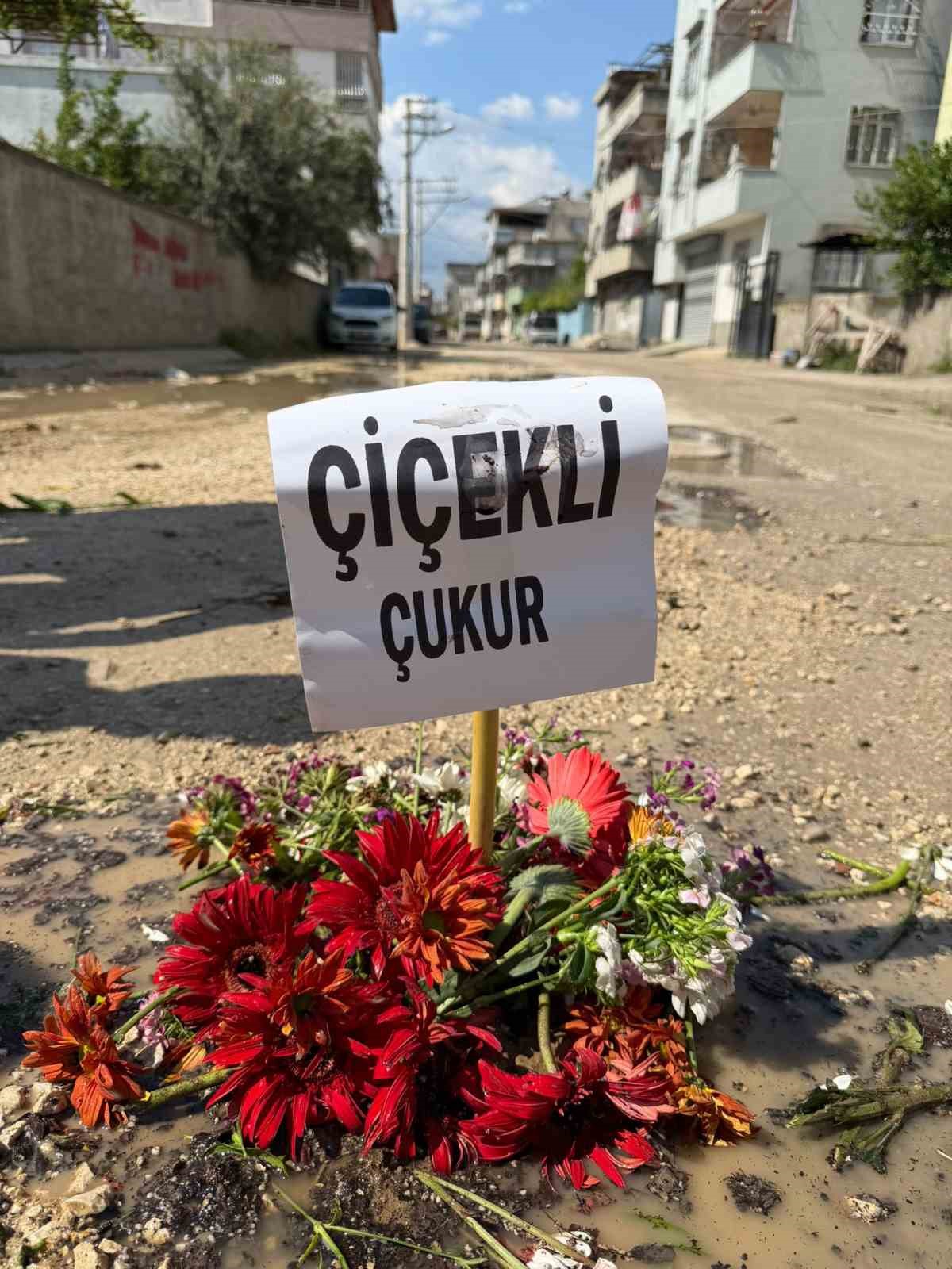 adananin kostebek yuvasina donen yollarina cicek diktiler 3 a8VeSTjJ