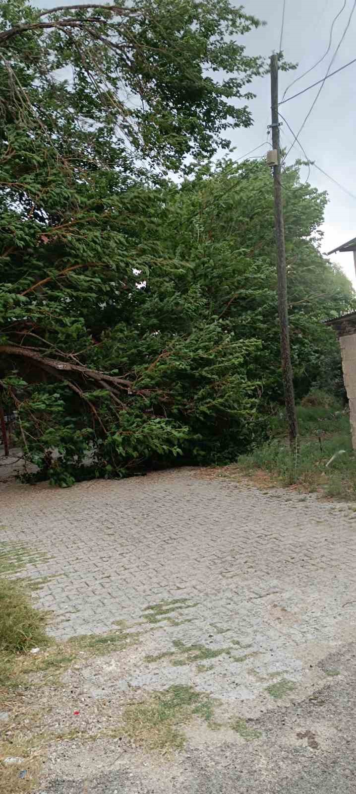 adananin kuzey ilcelerinde kuvvetli ruzgar etkili oldu 2 LnbEmLuP