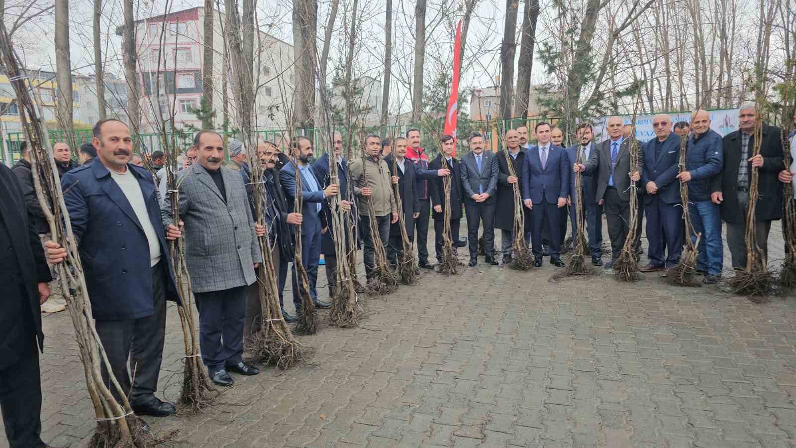 adilcevazda 12 bin asili ceviz fidani dagitildi 0 TgtmPpXB