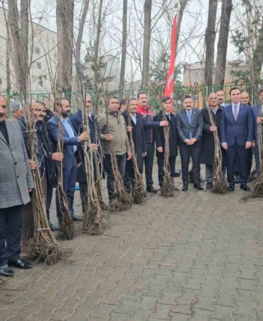 adilcevazda-12-bin-asili-ceviz-fidani-dagitildi-RgI3ZdMa.jpg