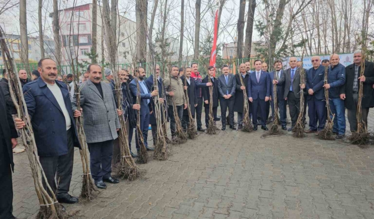 adilcevazda-12-bin-asili-ceviz-fidani-dagitildi-RgI3ZdMa.jpg