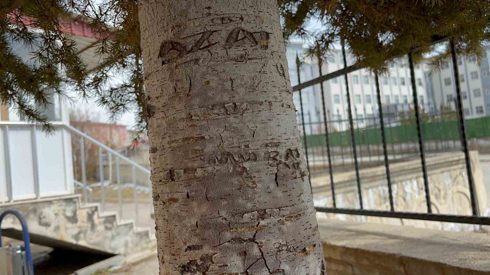 adilcevazda camiye cirkin saldiri halilar uzerinde sigara izmaritleri sonduruldu 2