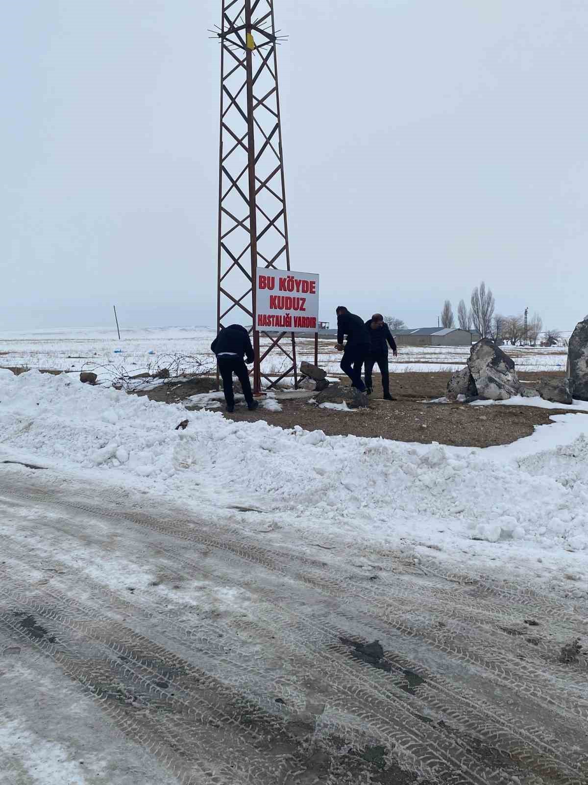 Adilcevaz’da kuduz alarmı: Bir köy karantinaya alındı 4 adilcevazda kuduz alarmi bir koy karantinaya alindi 0