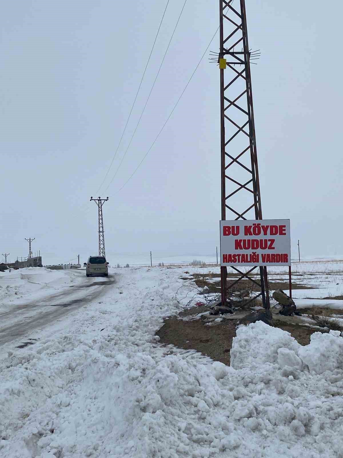 Adilcevaz’da kuduz alarmı: Bir köy karantinaya alındı 5 adilcevazda kuduz alarmi bir koy karantinaya alindi 1 LmCenznh