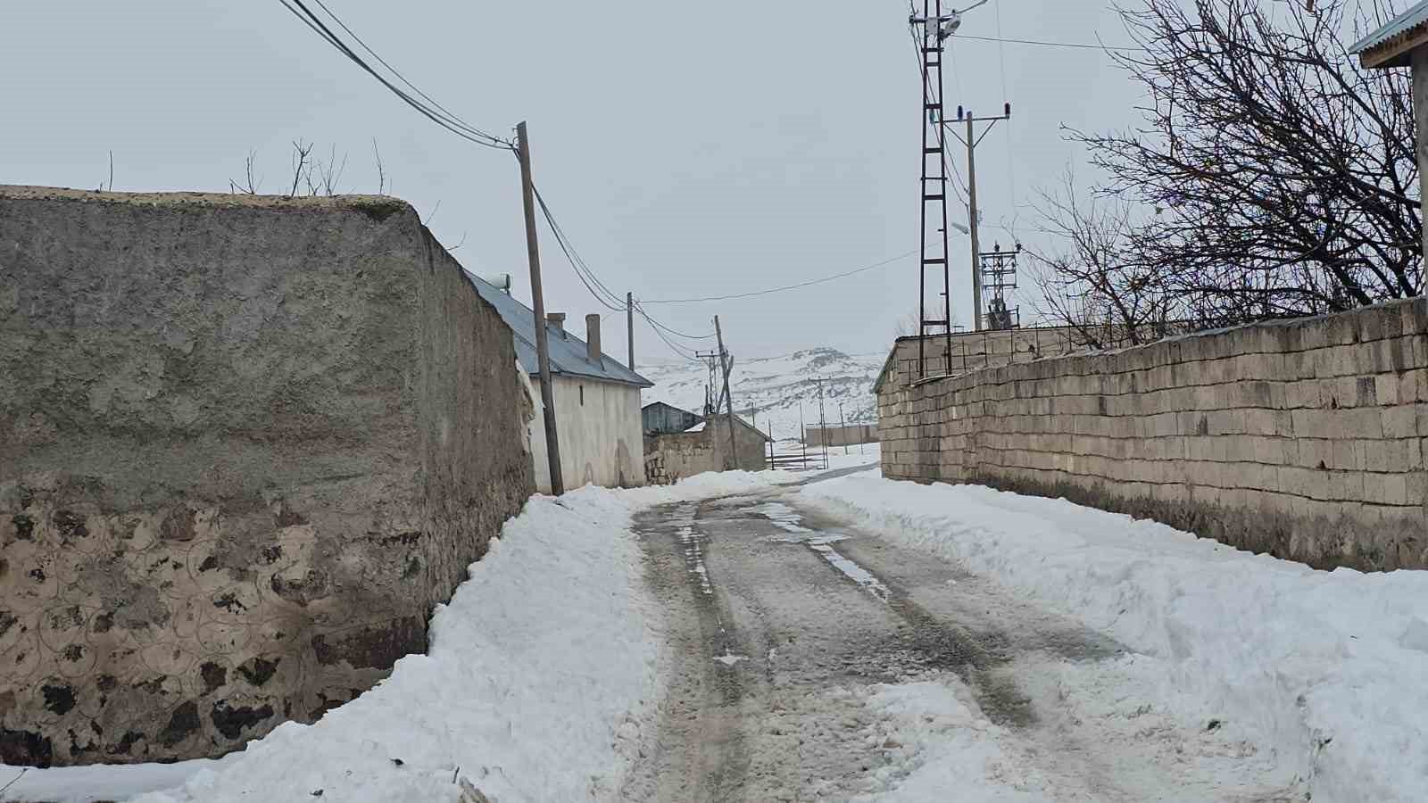 adilcevazda kuduz alarmi bir koy karantinaya alindi 2 Z1cJT96A