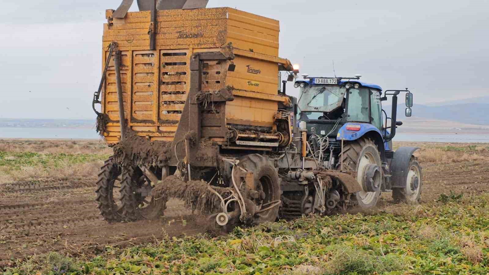 adilcevazda pancar sokumu hizla devam ediyor 2