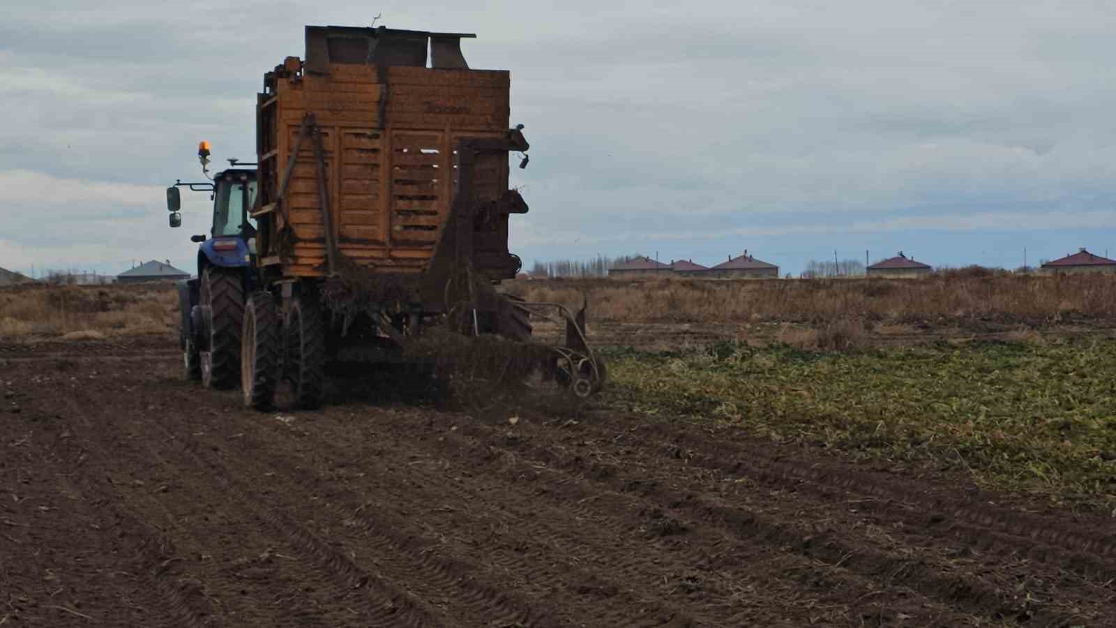 adilcevazda pancar sokumu hizla devam ediyor 4 FlafcWar