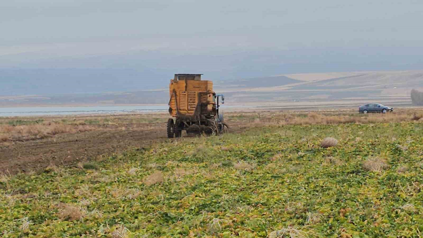 adilcevazda pancar sokumu hizla devam ediyor 6