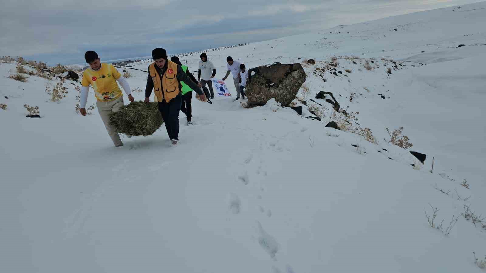 adilcevazda yaban hayvanlari unutulmadi aktivistlerden suphan dagi etegine yem birakti 4 4BdXfede