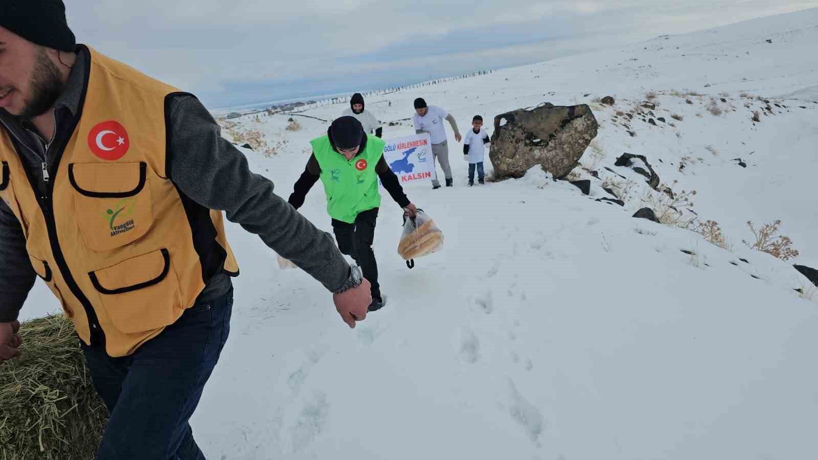 adilcevazda yaban hayvanlari unutulmadi aktivistlerden suphan dagi etegine yem birakti 5