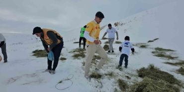 adilcevazda-yaban-hayvanlari-unutulmadi-aktivistlerden-suphan-dagi-etegine-yem-birakti-ZNq8dvpO.jpg