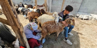 adilcevazda-yaylacilarin-yaz-mesaisi-devam-ediyor-g5NjBIjG.jpg