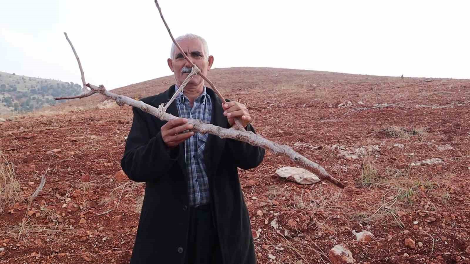 adiyamanda 10 bin agac kirilarak yok edildi 2 nnG4gBOB