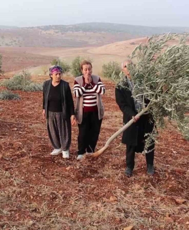 adiyamanda-10-bin-agac-kirilarak-yok-edildi-XTbQMqXt.jpg
