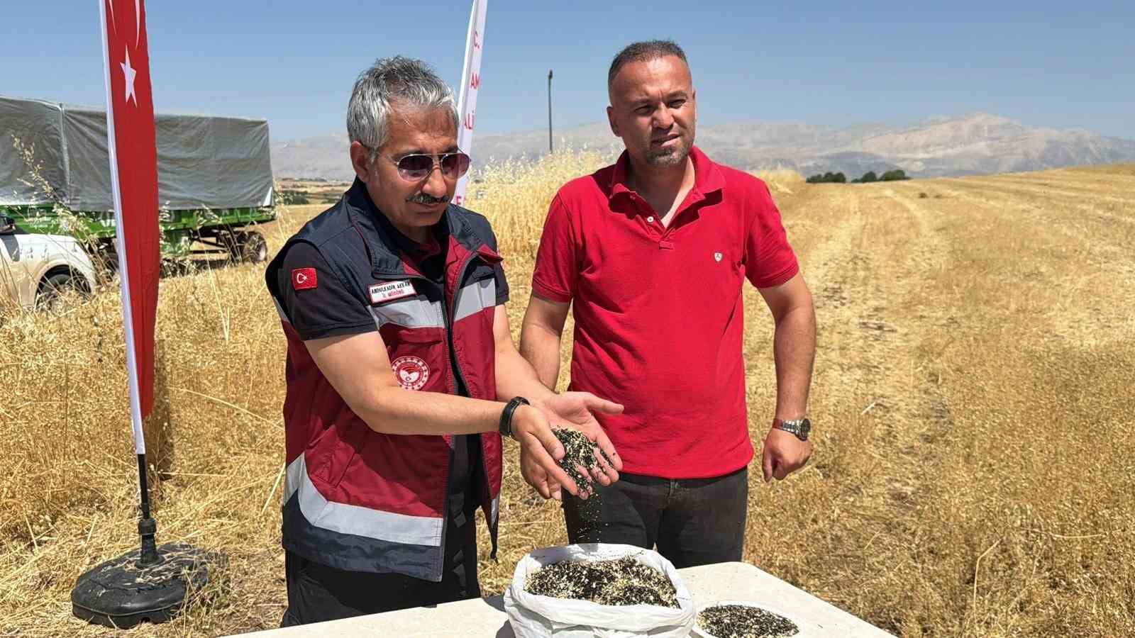 adiyamanda corek otu hasadi basladi 0 W8JTrsA8