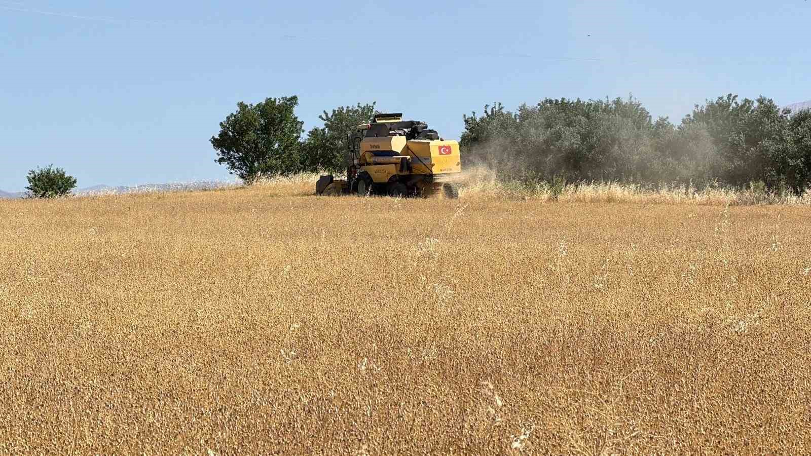 adiyamanda corek otu hasadi basladi 1