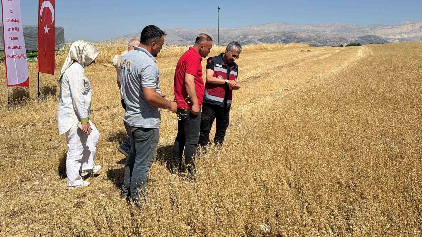 adiyamanda corek otu hasadi basladi 3 hYklKSsn