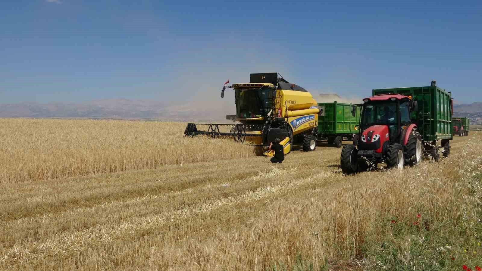 Adıyaman’da hububat hasadı başladı 6 adiyamanda hububat hasadi basladi 2 yrX5smJA