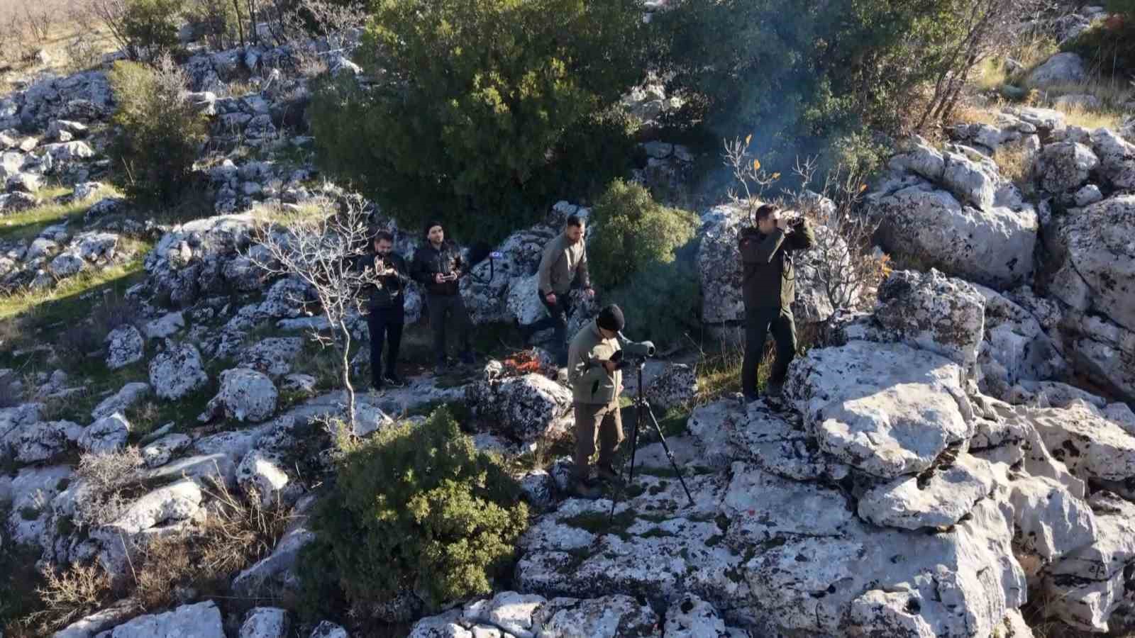 adiyamanda yaban kecileri tek tek sayiliyor 1 fjTudgZZ