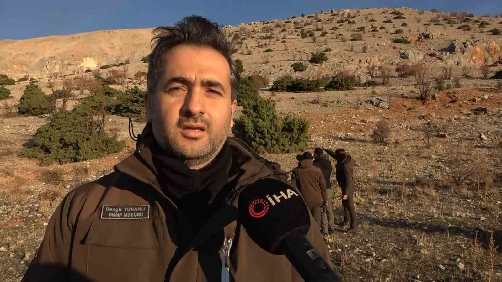 adiyamanda yaban kecileri tek tek sayiliyor 4