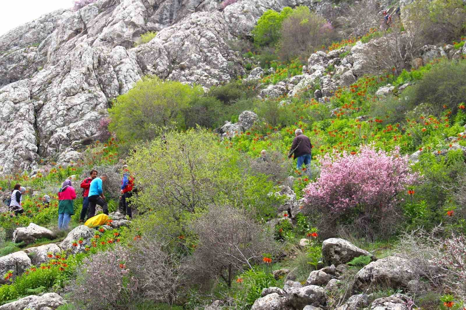 afsinde ters laleler acti koparana 700 bin tl ceza 3 qwU6H7zI