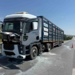 afyonkarahisarda-aygaz-marka-tup-yuklu-tirin-motorunda-yangin-8tXpCx8Z.jpg