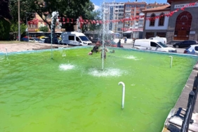Otel odasında cansız bedenleri bulunan Hollandalı iki kardeşin böcek ilacından zehirlendikleri ortaya çıktı 3 thumbnail