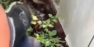aga-dolanarak-mahsur-kalan-yilani-itfaiye-kurtardi-dPlEp7Dh.jpg