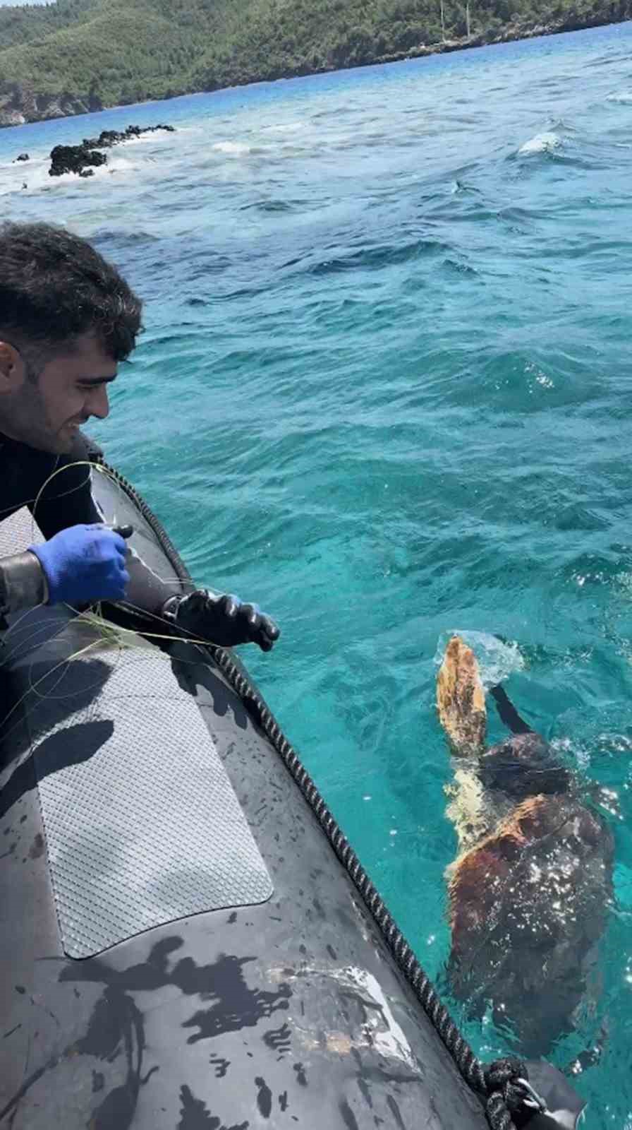 aga takilan deniz kaplumbagasini dernek gorevlileri kurtardi 1 EJN1Khcd