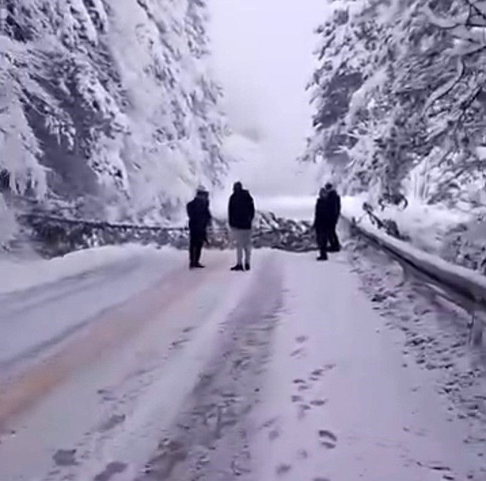 Ağaçlar devrildi yol kapandı, araçlar kayıp kaza yaptı 6 agaclar devrildi yol kapandi araclar kayip kaza yapti 2 iKlsvl3F