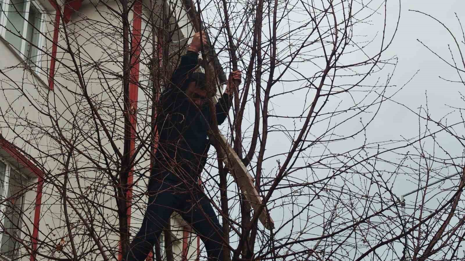 agacta mahsur kalan kediye zabitadan kurtarma operasyonu 2 zkVigqgi