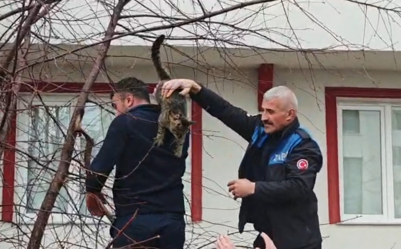 agacta mahsur kalan kediye zabitadan kurtarma operasyonu 3 eNWzr4me
