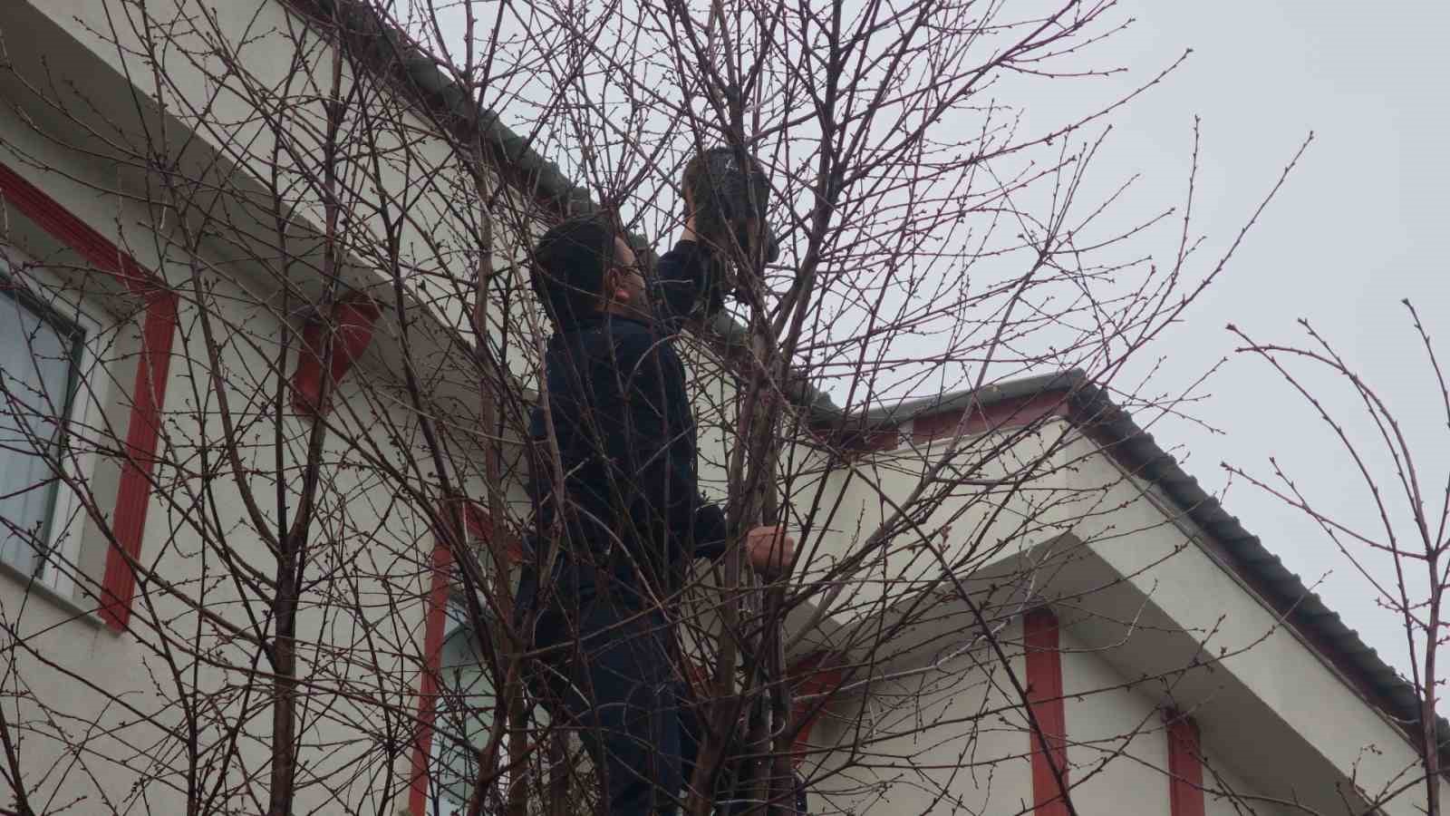 agacta mahsur kalan kediye zabitadan kurtarma operasyonu 4 zEQpcJF1