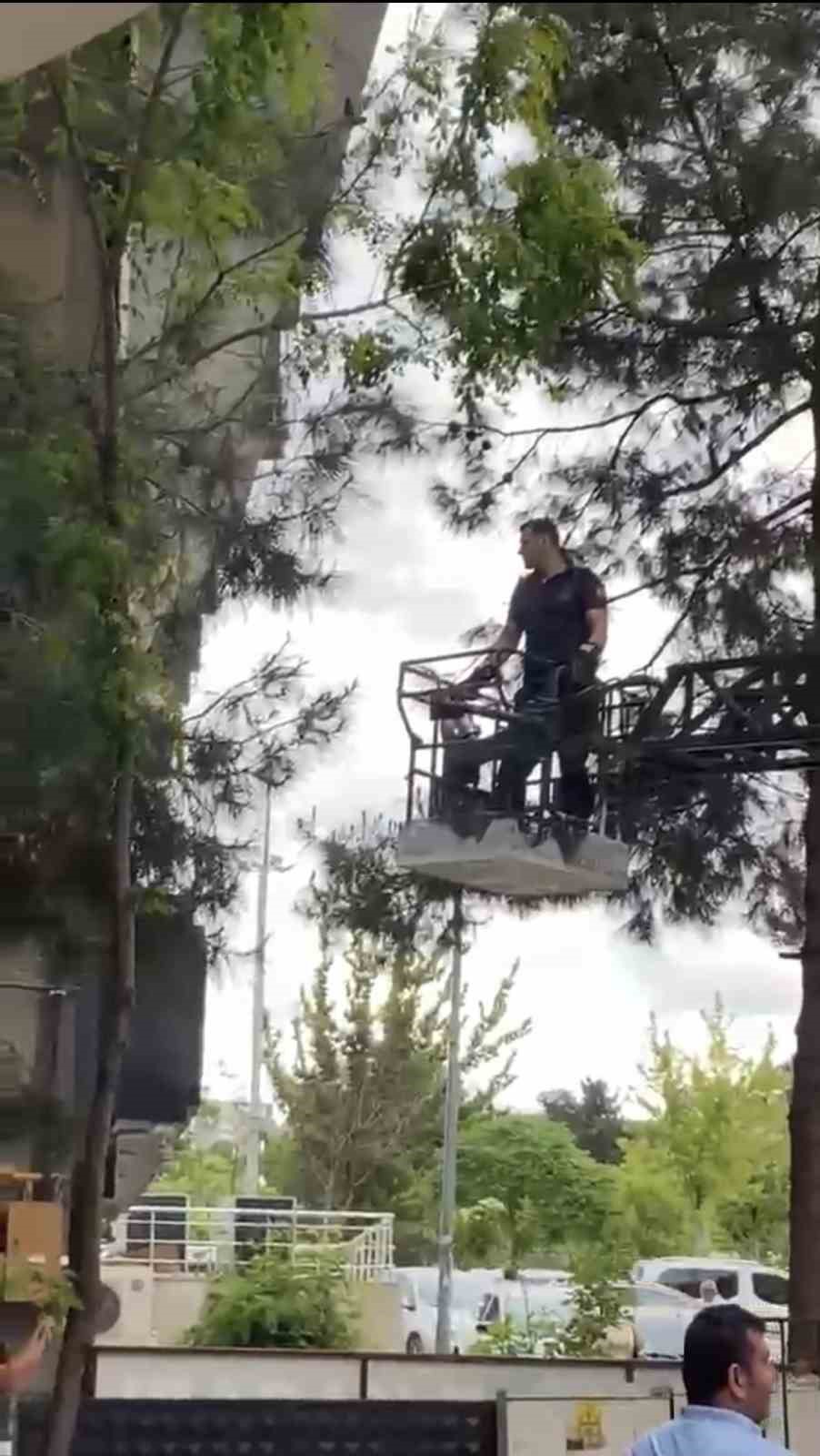 agacta mahsur kalan kediyi itfaiye kurtardi 0 rYZzqHSt