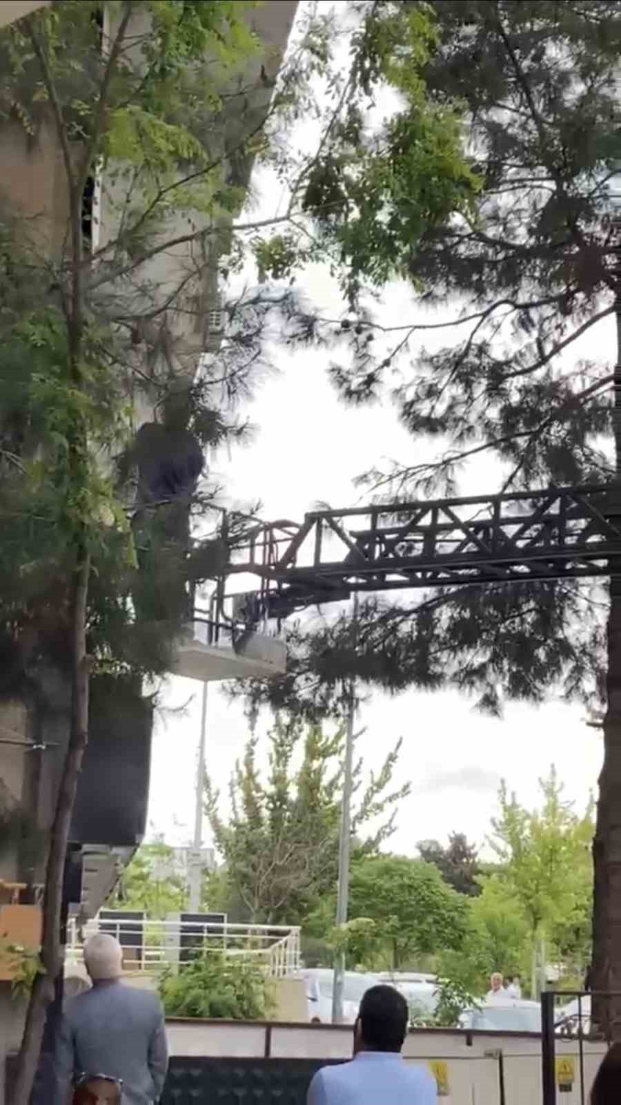 agacta mahsur kalan kediyi itfaiye kurtardi 1 ss6hgb6U