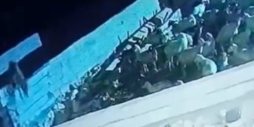 agila-giren-kurt-koyunu-telef-etti-o-anlar-kamerada-Lc1EzPdu.jpg