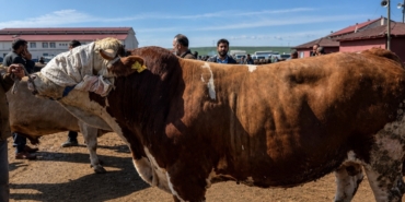 agrida-1-tonluk-barbaros-450-bin-liradan-satisa-cikti-KgdIe8dm.jpg